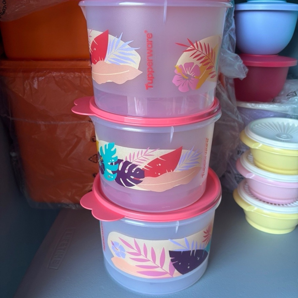 Tupperware Tropical Design Containers with Pink Lids
